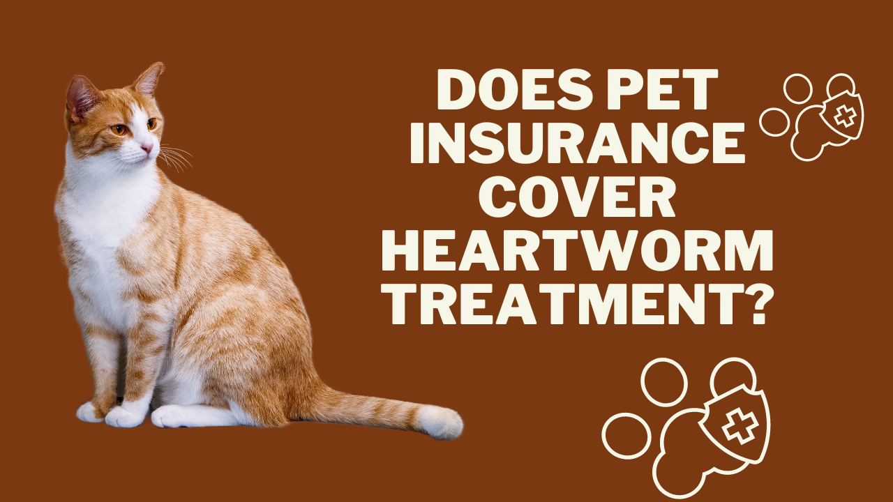 Does Pet Insurance Cover Heartworm Treatment?